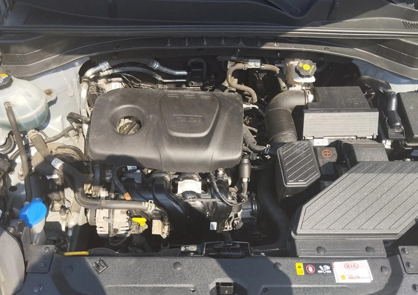 Kia Sportage cena 60000 przebieg: 52079, rok produkcji 2019 z Łask małe 254